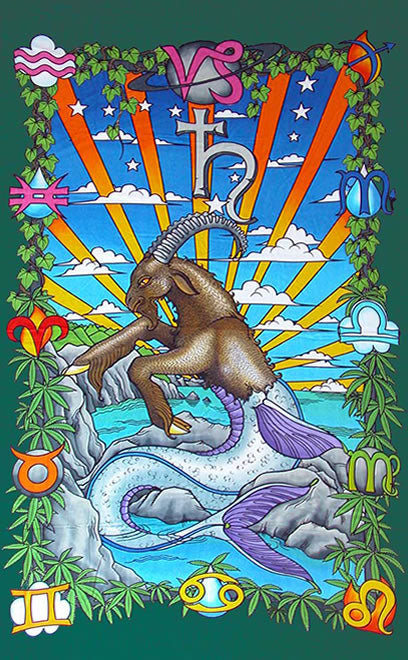 Zodiac Wallhanging : Capricorn