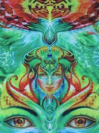 Fabian Jimenez Products