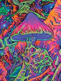 Felix Stöver Products