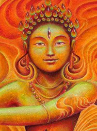 Lauren Nova Products