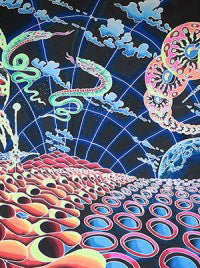 Nomadicortex Products