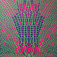 D108A Acid dragonfly Products