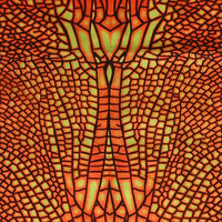 D108C Fire dragonfly Products