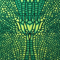 D108G Jungle dragonfly Products