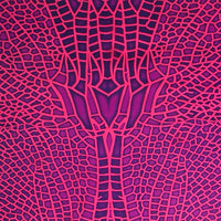 D108V Pink dragonfly Products