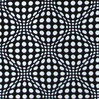 D46N Black/White Wobberelli Products