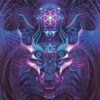 D107V Violet foxy lady Products