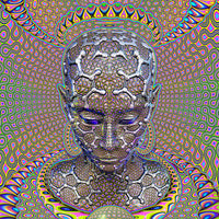 DP001 Micro macro Products