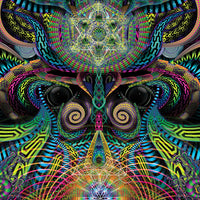 DP004 Primordial presence Products