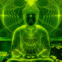 DP007G Lime buddha Products