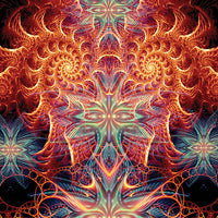 DP010 Divine seraphim Products