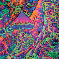 DP016 Psy shroom Products