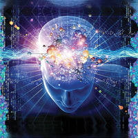 DP020 Molecular dreaming Products