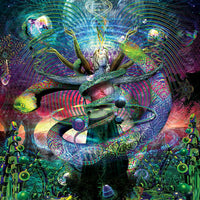 DP022 Venus exalted Products