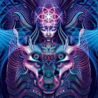 DP027V Violet foxy lady Products