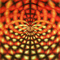 DP028C Orange web Products