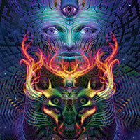 DP043 Heirophant Products