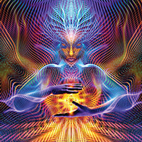 DP044 Quintessence Products