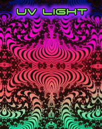 Giant Beanbag Cover : Rainbow Fractal