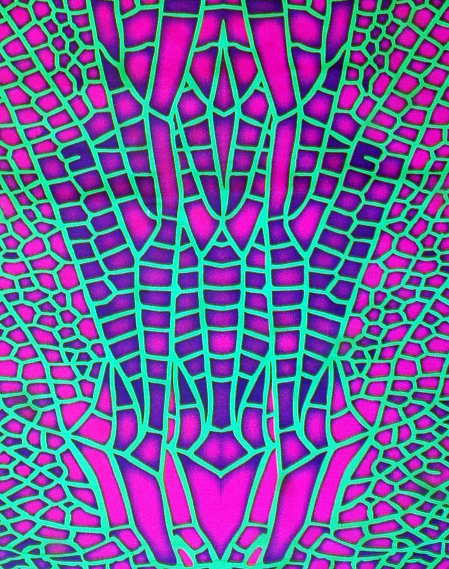 Long Sleeve Catsuit : Acid Dragonfly - Women Catsuits - Space Tribe