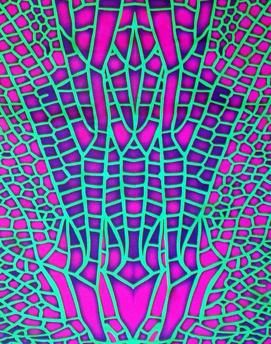 Lycra Flares : Acid Dragonfly - Women Flares - Space Tribe