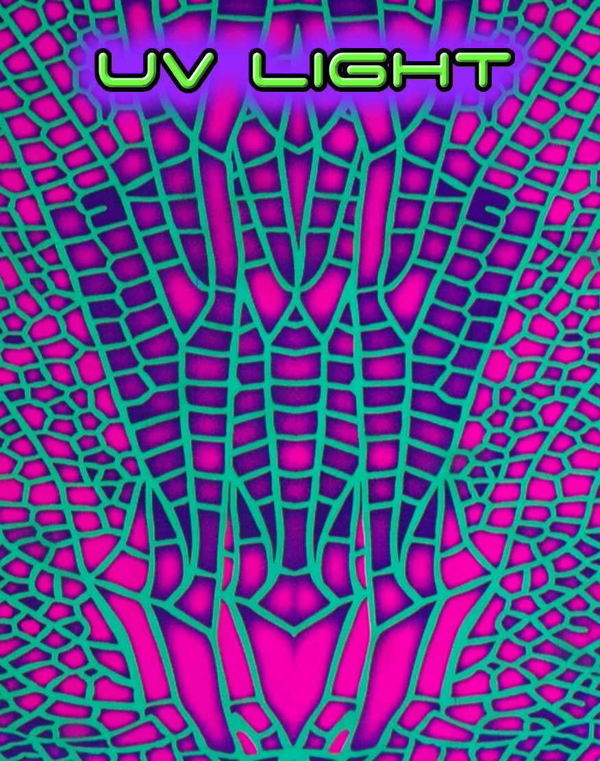 Hooded Cape : Acid Dragonfly