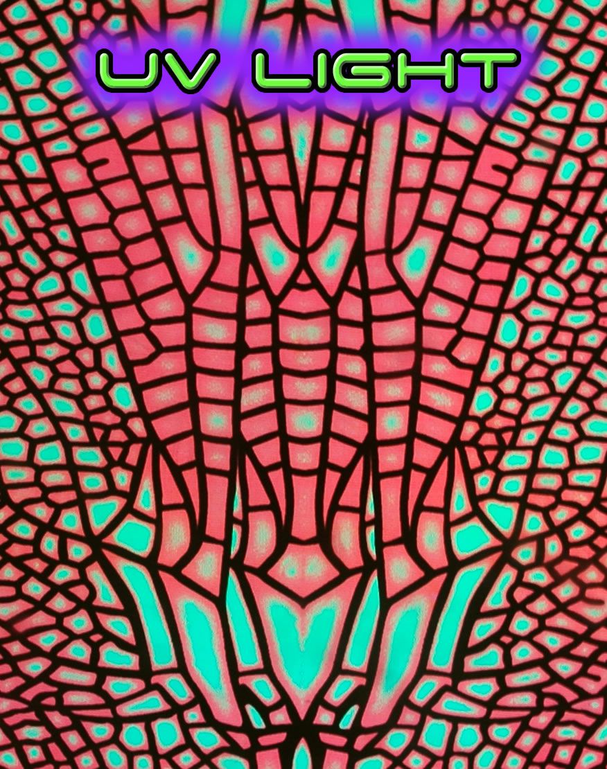 Alien Eye Pants : Fire Dragonfly - Men Pants - Space Tribe