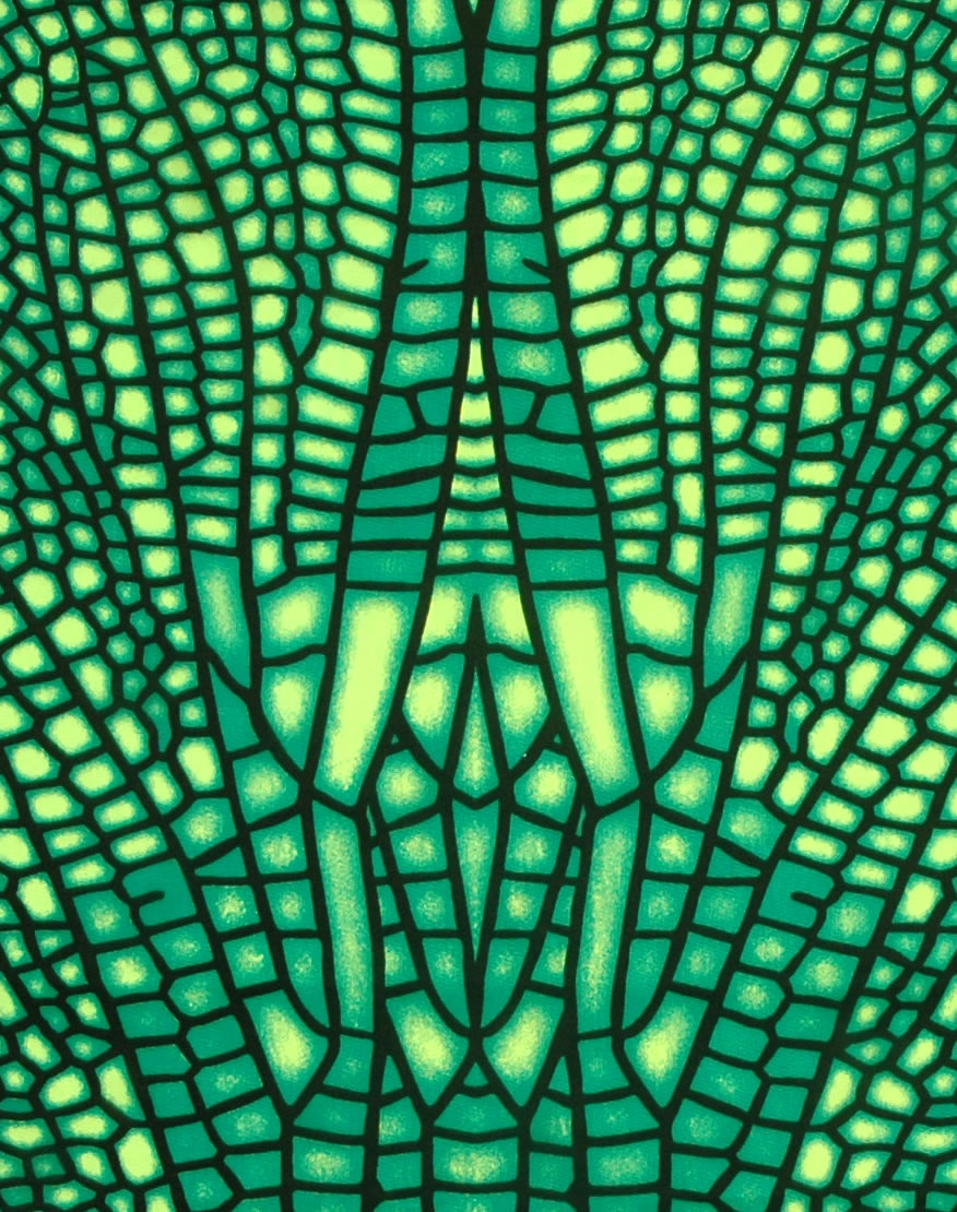 Hooded Crop Top : Jungle Dragonfly