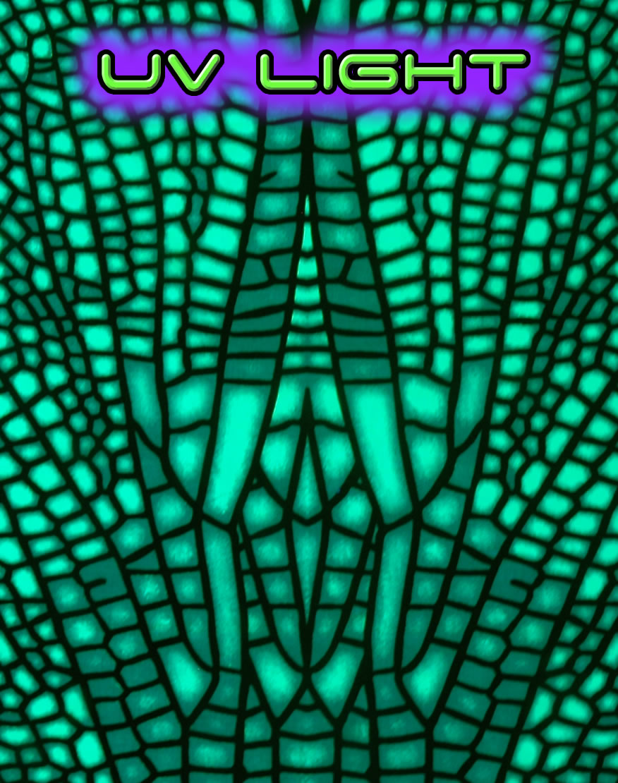 Hooded Crop Top : Jungle Dragonfly