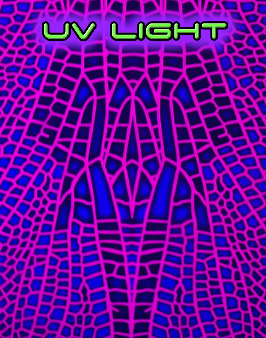 Catsuit : Pink Dragonfly - Women Catsuits - Space Tribe