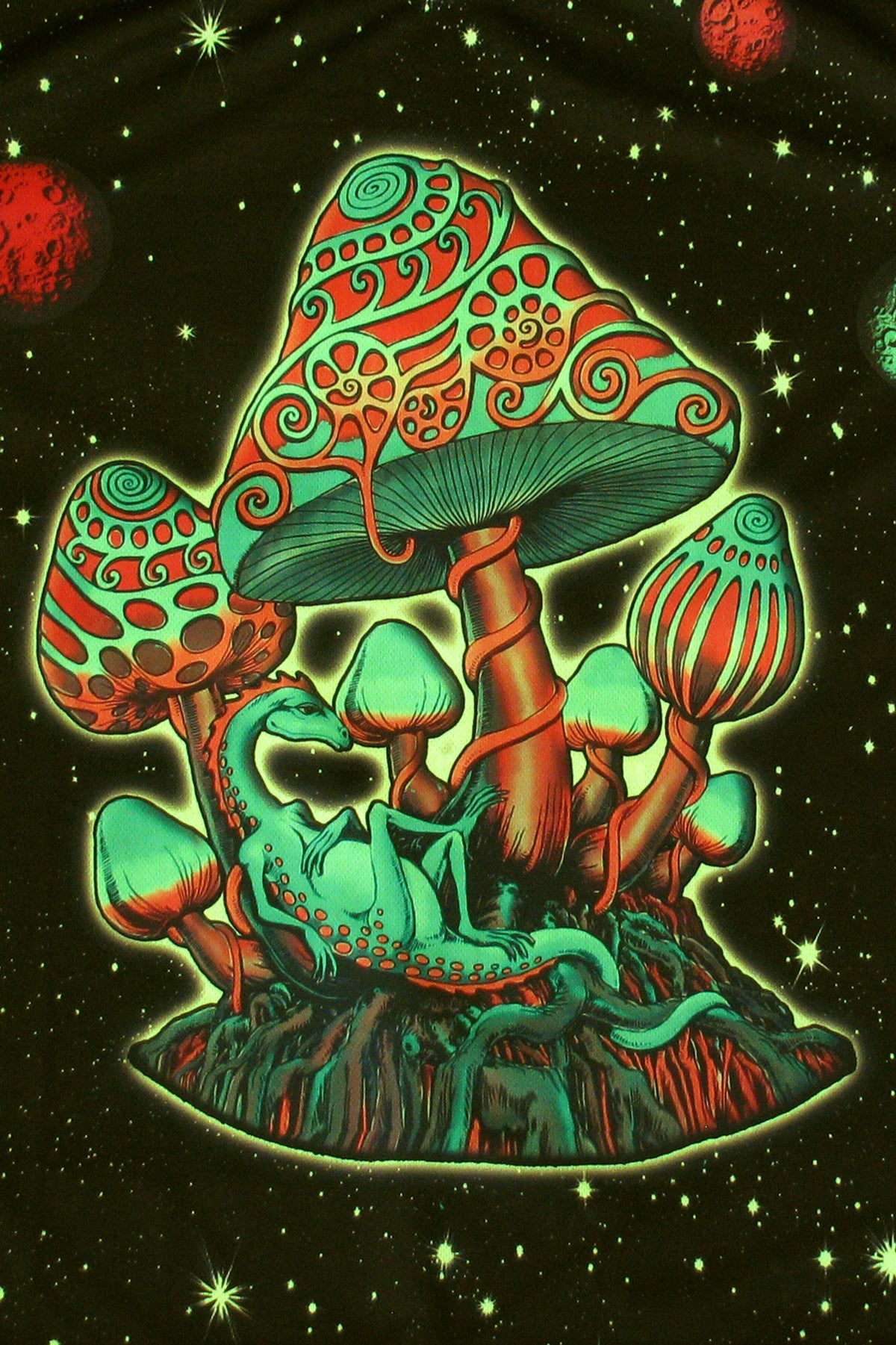 UV Sublime S/S T : Cosmic Shrooms UV - Men T-Shirts - Space Tribe