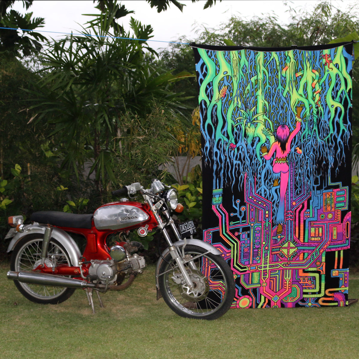 UV Wallhanging : Back2Nature