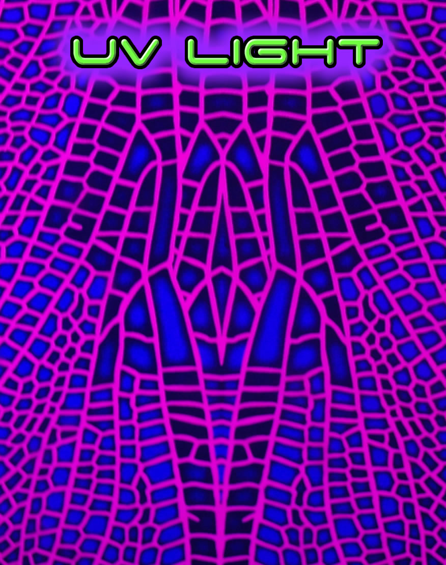 Long Sleeve Catsuit : Pink Dragonfly