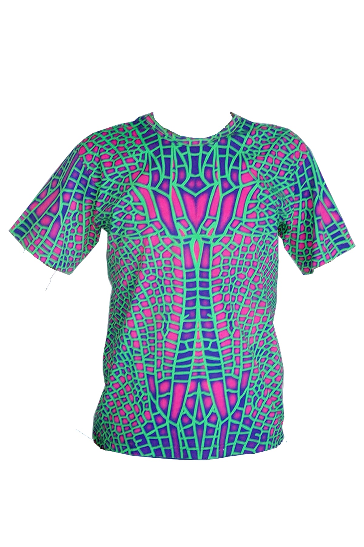 Classic S/S T : Acid Dragonfly