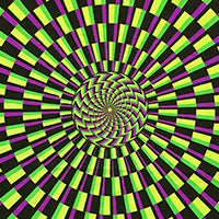 Hooded Crop Top : Lime Vertigo - Space Tribe