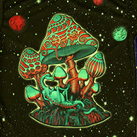 DP048 Cosmic shrooms Products