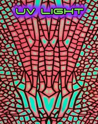 Hooded Crop Top : Fire Dragonfly