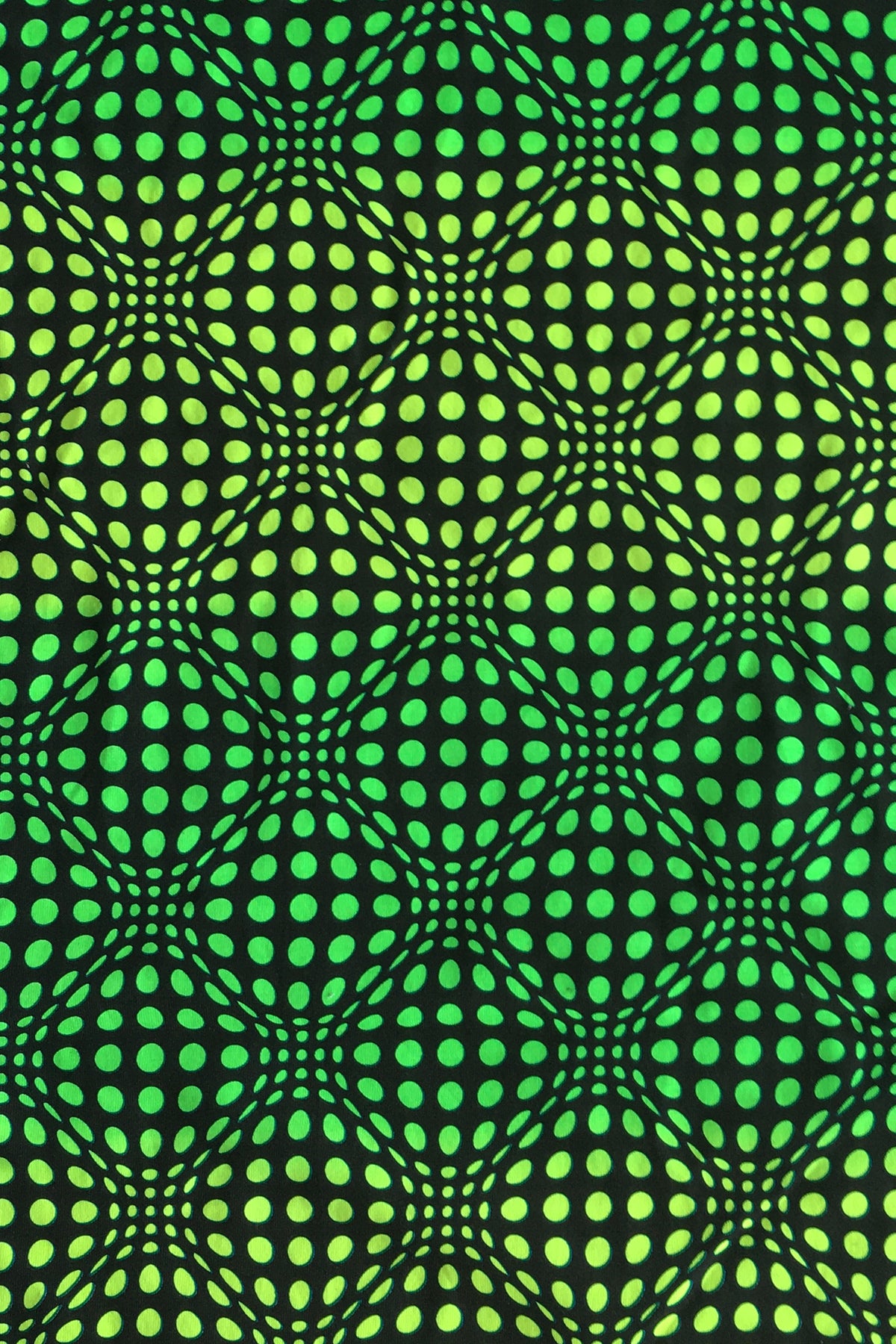 Hooded Crop Top : Lime Wobberelli - Women Tops - Space Tribe