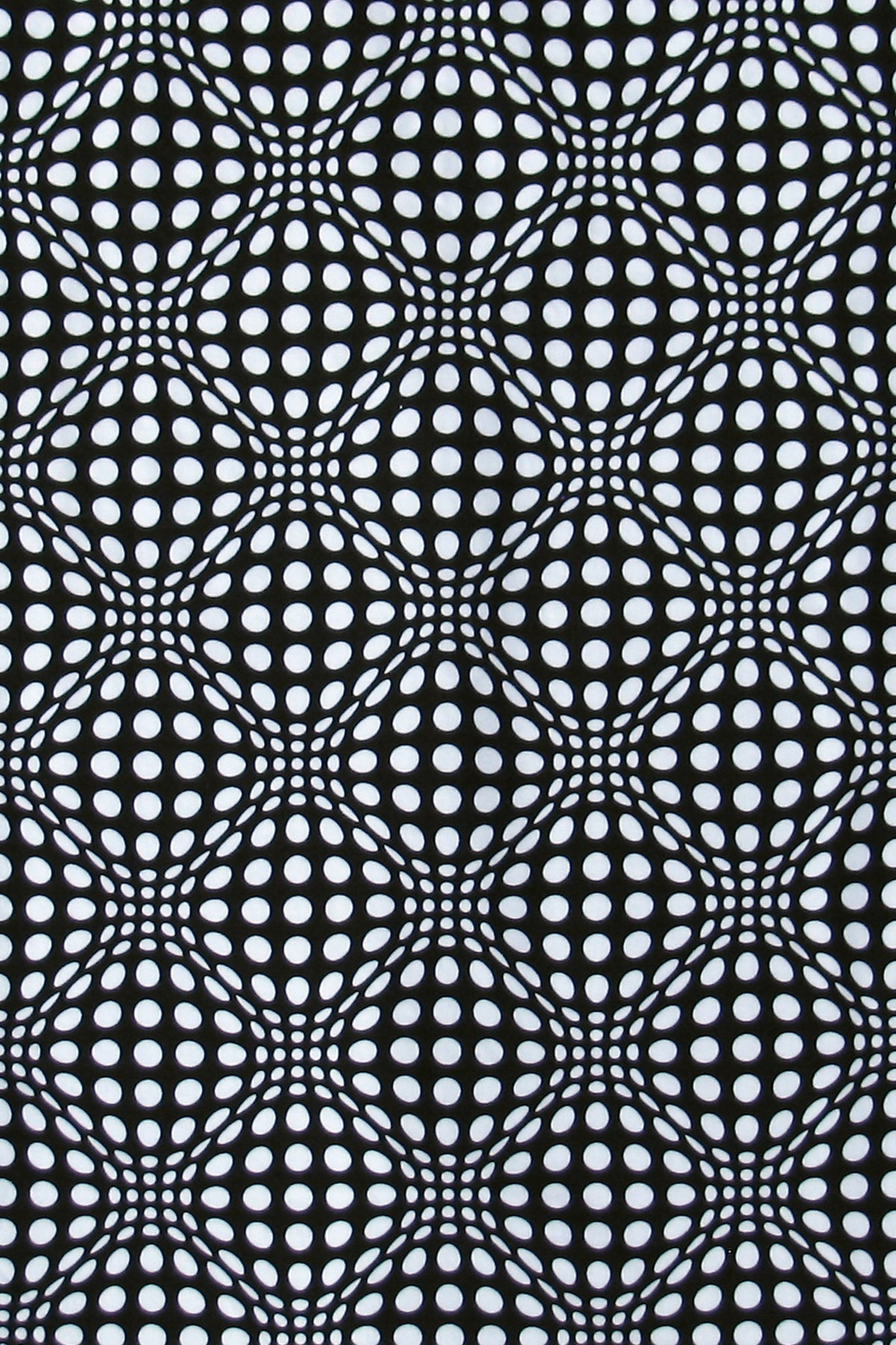 Wide waistband Leggings : Black & White Wobberelli